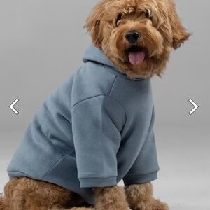 Comfrt Dog Hoodie (never used)